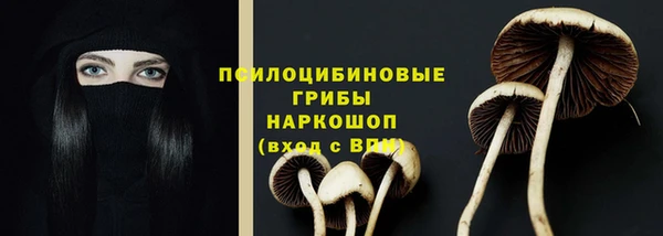 ALPHA-PVP Бугульма