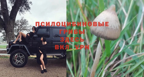 прущие крисы Бронницы