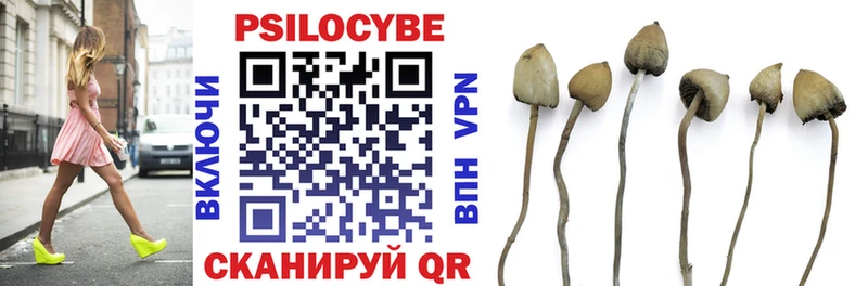 Галлюциногенные грибы MAGIC MUSHROOMS  Гулькевичи 
